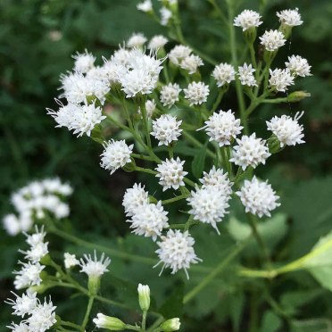 29398792910_88a8c40e66_z