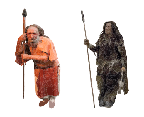 567px-Comparison_of_Neanderthal_and_Homo_sapiens_(version_2).svg