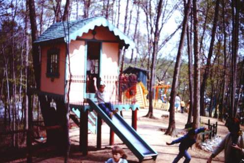 My beautiful picture