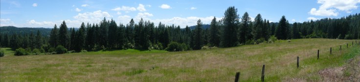 StitchP1150873-P1150875